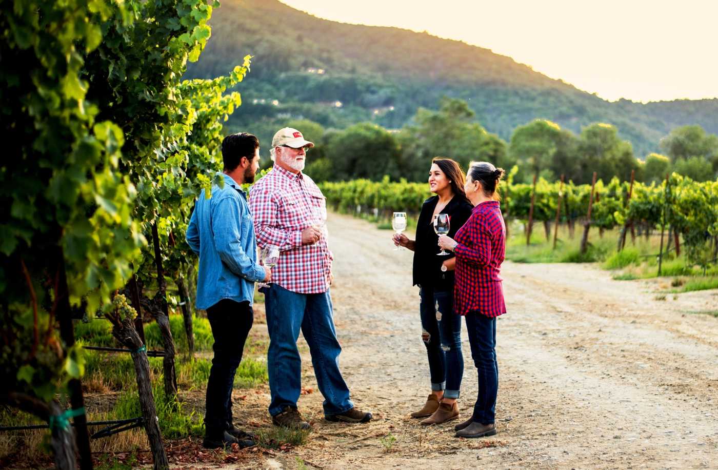 Learn About Our Sonoma County Vineyards J. Cage Cellars